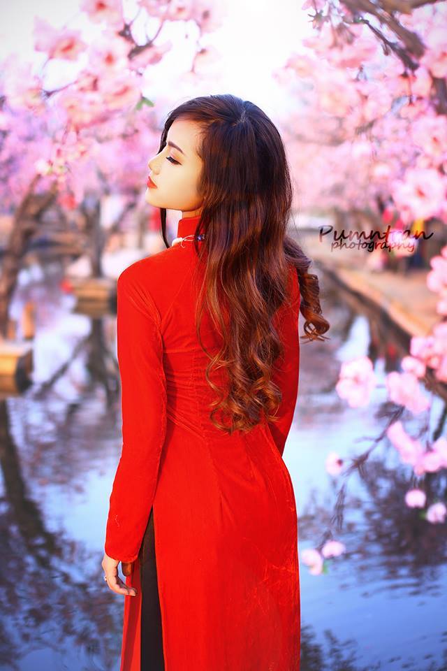 踏雪寻梅